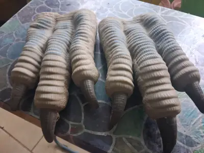 Disfraz de dinosaurio con garras y máscara - miniatura 1