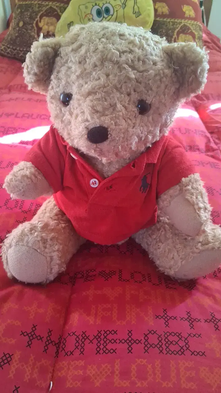 Osito de peluche con polera roja Ralph Lauren - 1