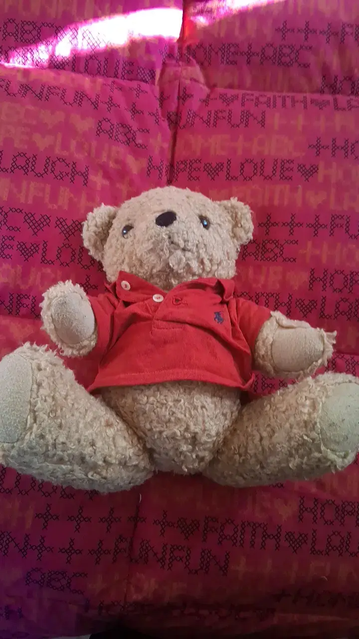 Osito de peluche con polera roja Ralph Lauren - 3