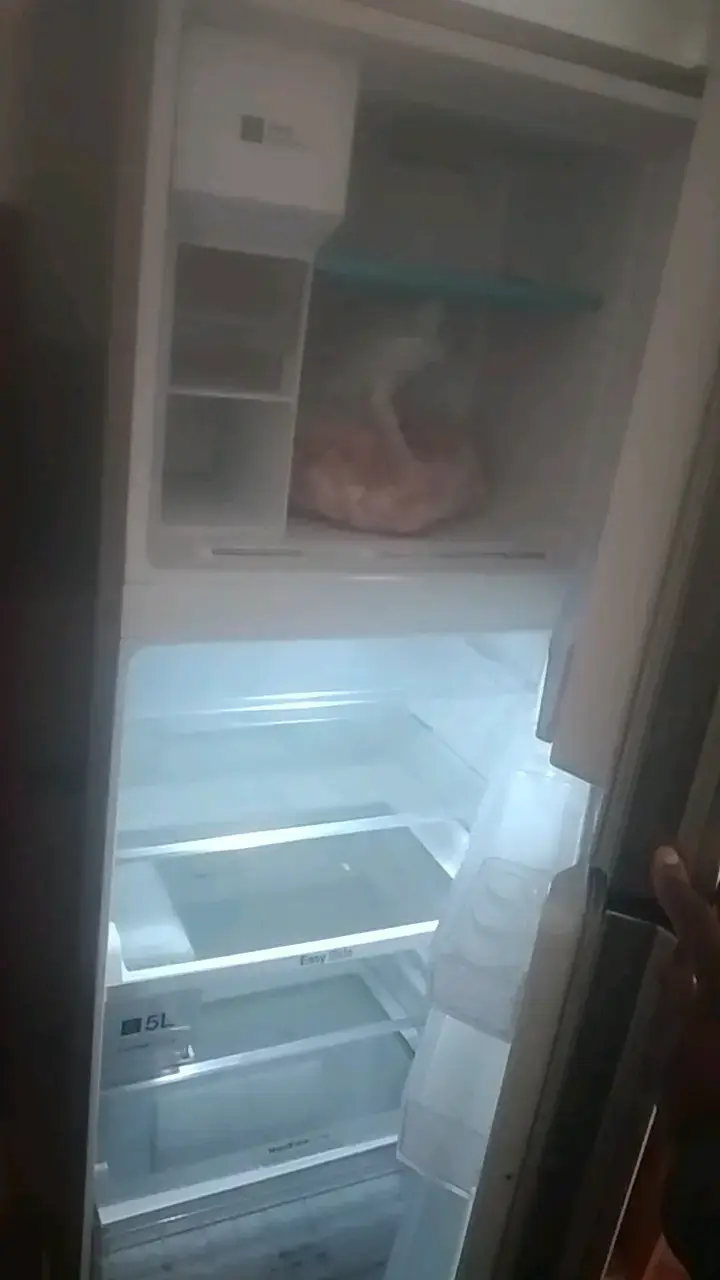 Refrigerador con dispensador de agua - 2