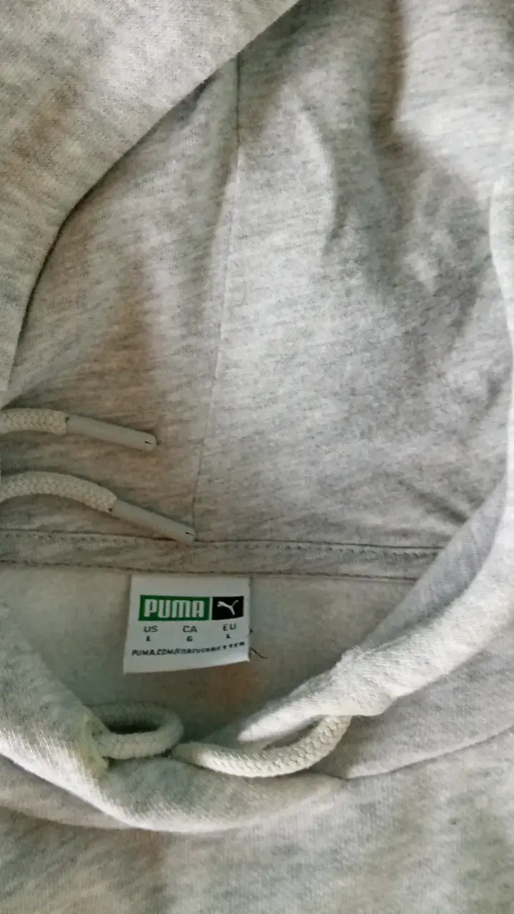 Polerón con capucha gris Puma para hombre