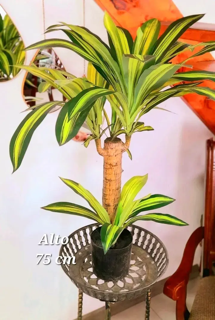 Planta artificial palo de agua 75 cm - 1
