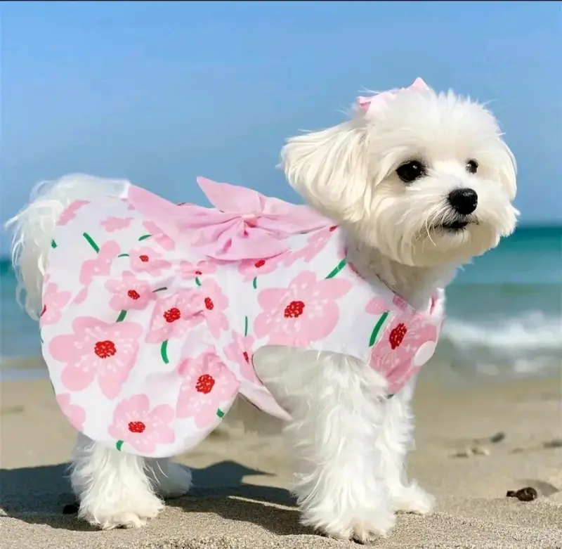Vestido para perro con flores rosadas y lazo - 4