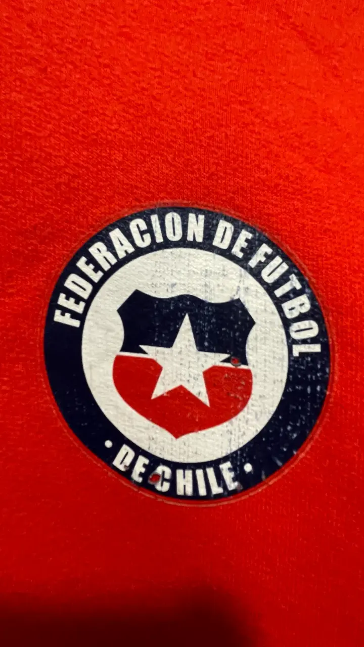 Polerón Puma Selección  Chilena 2011-2015 - 2