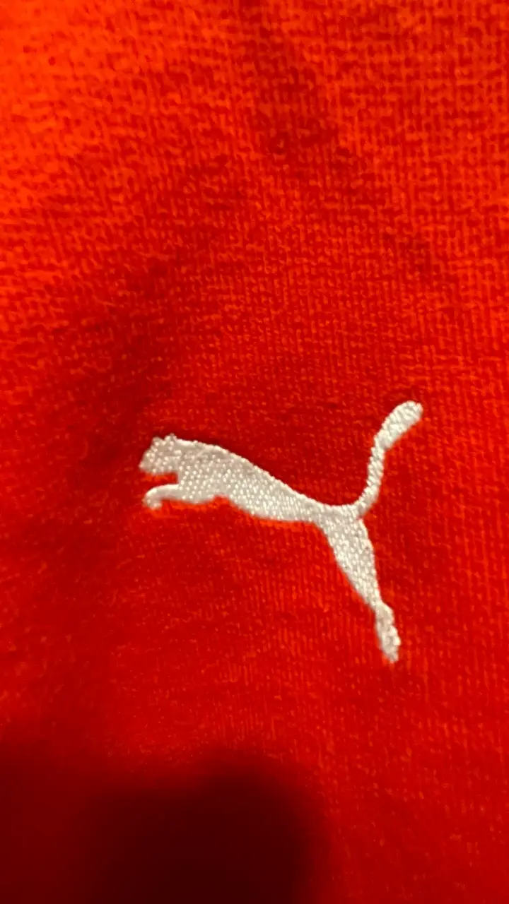 Polerón Puma Selección  Chilena 2011-2015 - 4