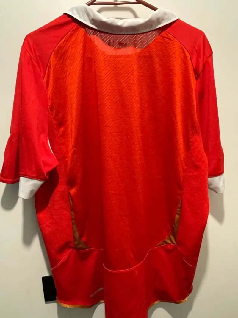 Camiseta  Selección Chilena Puma 2011 - 2