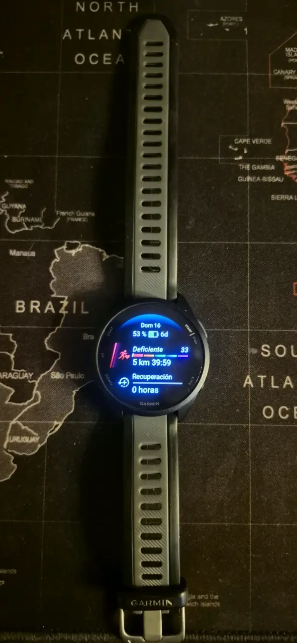 Garmin Forerunner 165 - 2