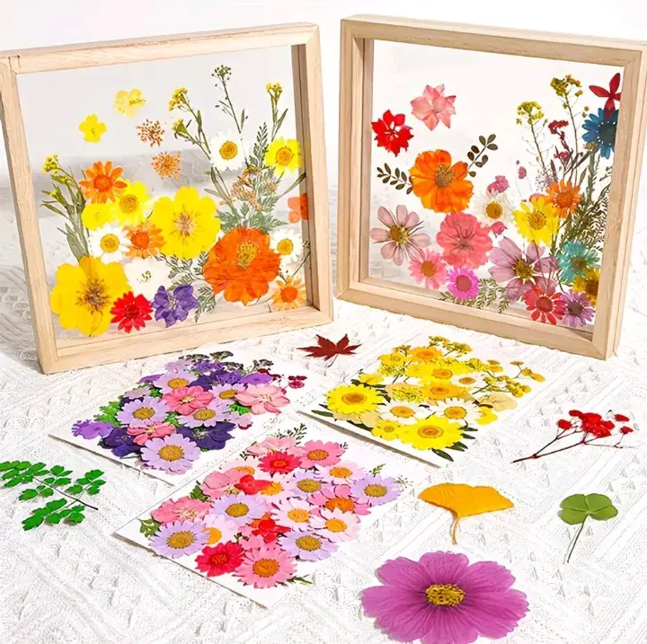 Prensa para flores de madera 10cm - 5