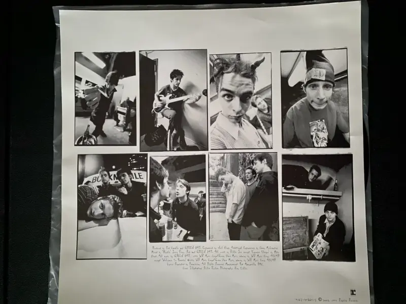Vinilo Green Day Dookie Edición Original - 6