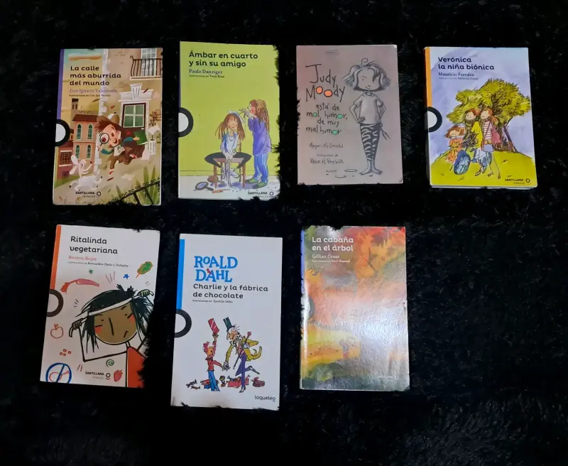 LOTE DE LIBROS ESCOLARES / LECTURA COMPLEMENTARIA