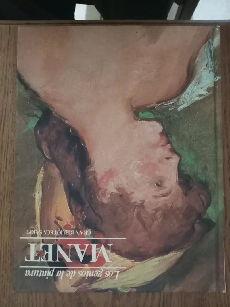 Colección de 5 libros 'Los genios de la pintura' - 2