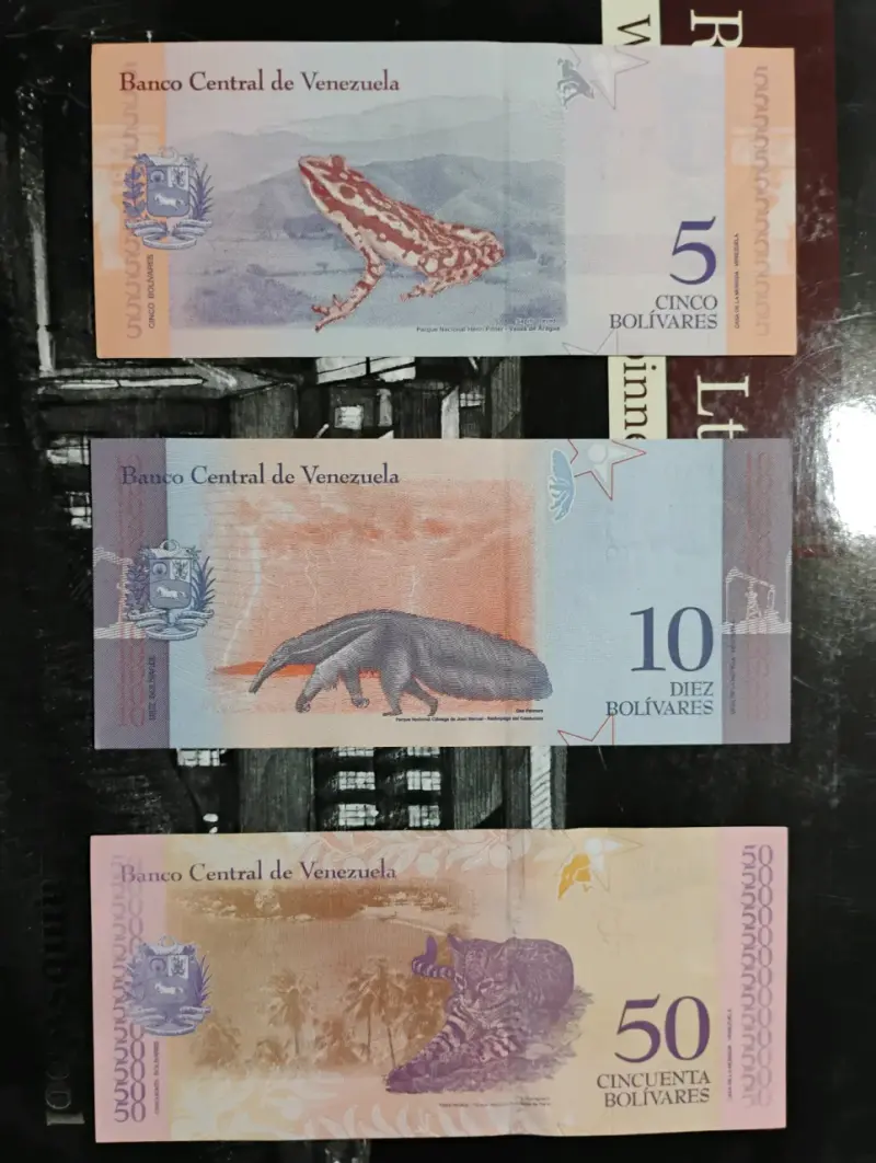 Billetes de colección de Venezuela 2, 5, 10 y 50 bolívares - 2