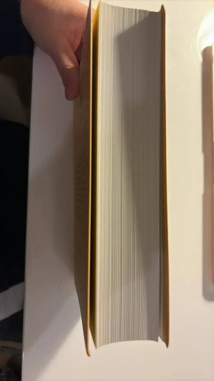 Libro 'La Casa de los Espíritus' de Isabel Allende - 4