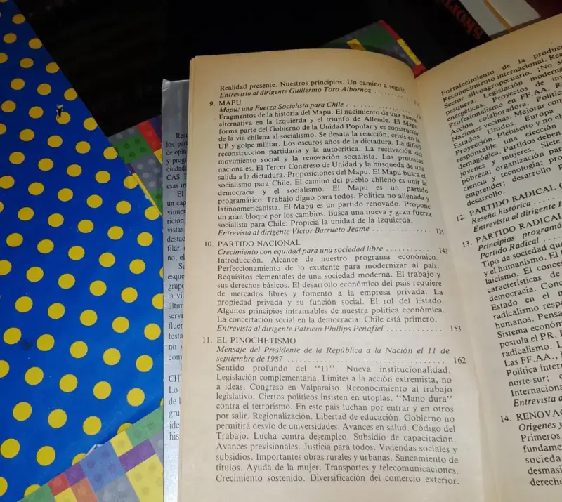80/90 Opciones Políticas En Chile - 4