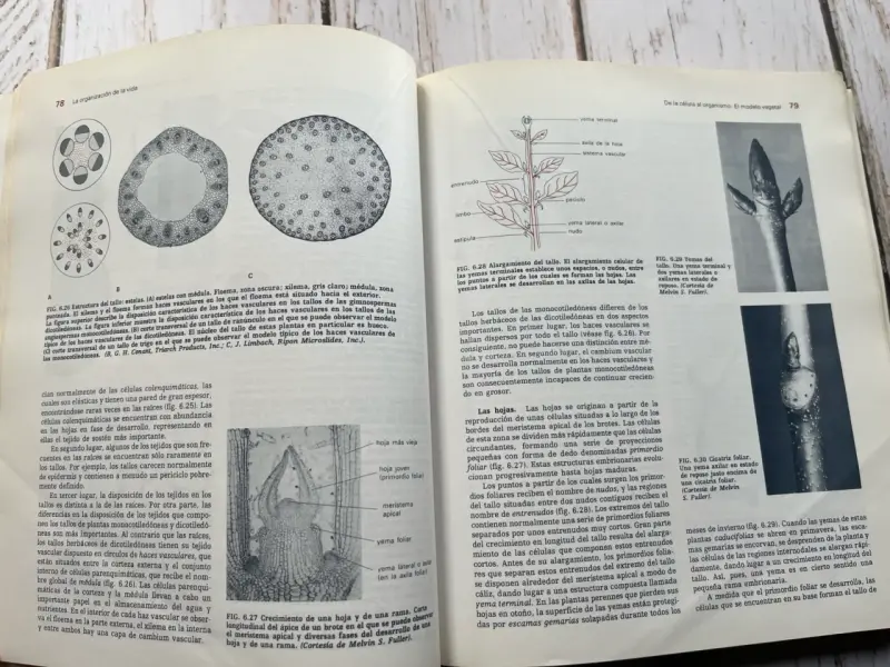 Libro Elementos de Biología Cuarta Edición - 6