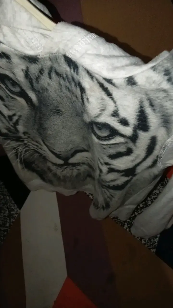 Polerón gris con diseño de tigre - 4