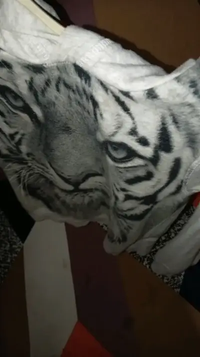Polerón gris con diseño de tigre - miniatura 4