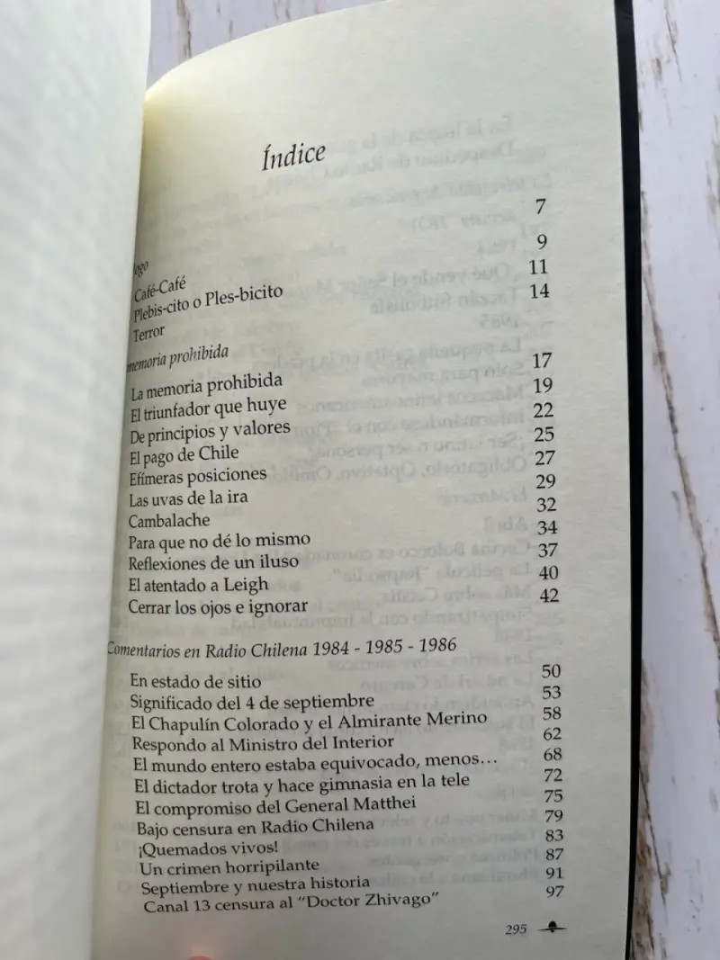 Reflexiones de un iluso de Patricio Bañados - 4
