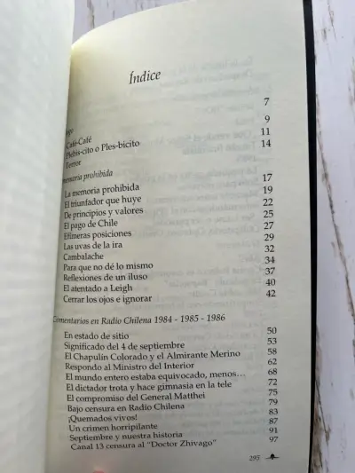 Reflexiones de un iluso de Patricio Bañados - miniatura 4