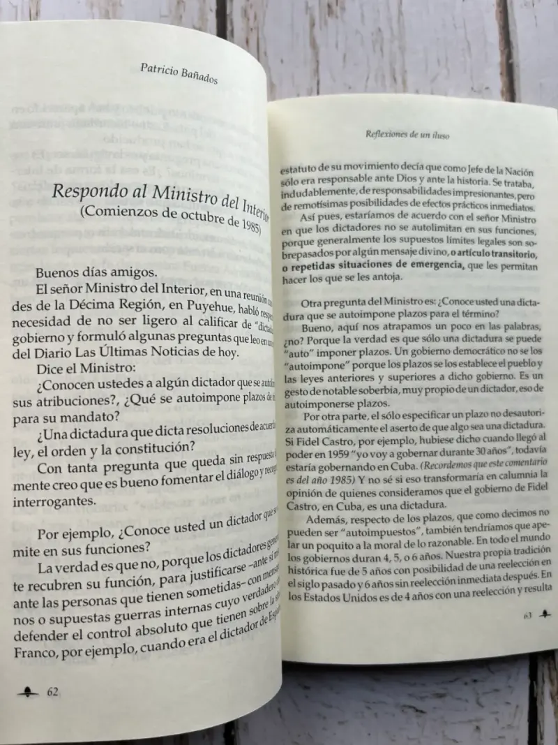 Reflexiones de un iluso de Patricio Bañados - 6