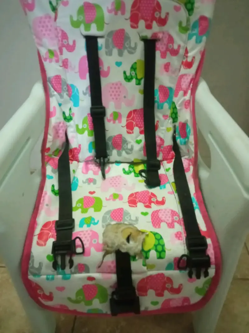 Silla de comer 2 en 1 - 4