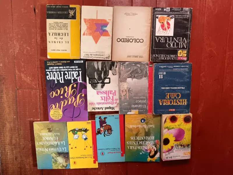Lote de libros variados en buen estado