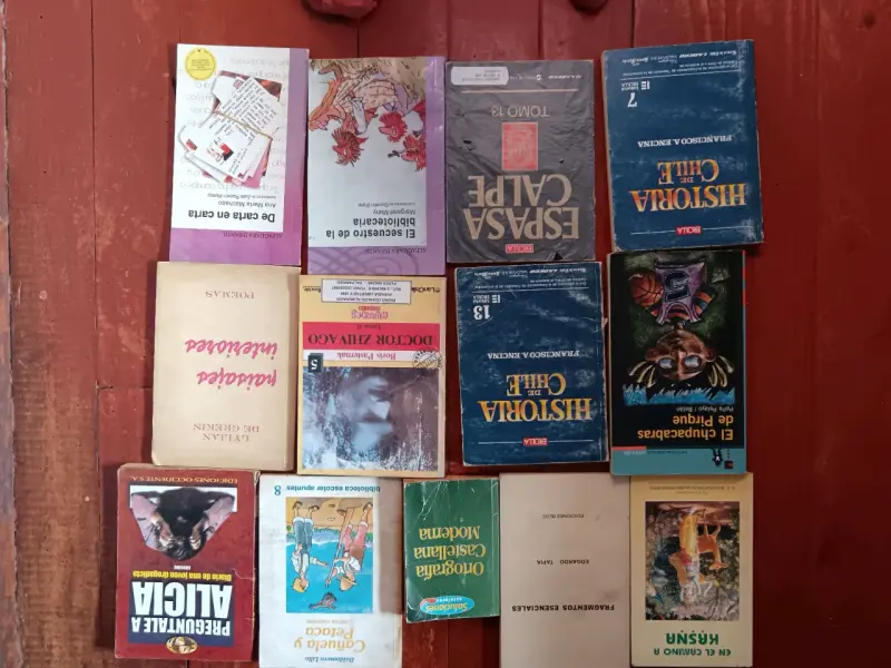 Lote de libros variados de literatura y poesía