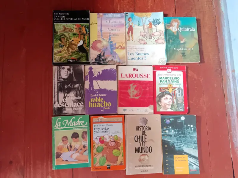 Lote de 12 libros variados en español
