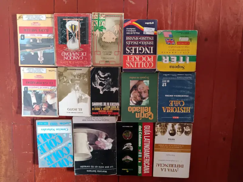 Lote de libros variados en español e inglés