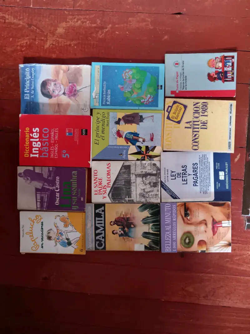 Lote de 12 libros variados en buen estado