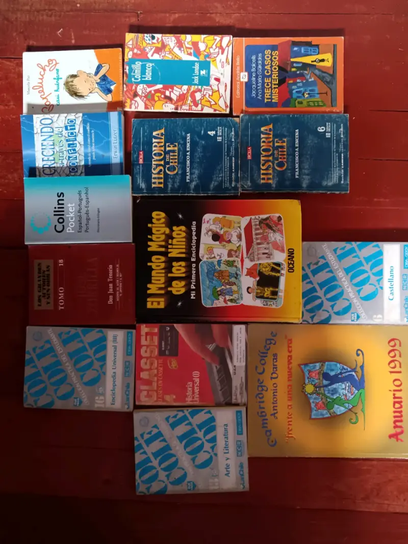Lote de libros variados de literatura y enciclopedias