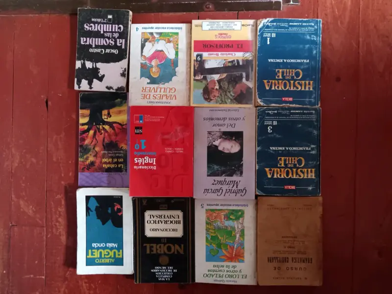 Lote de libros variados de literatura y educación