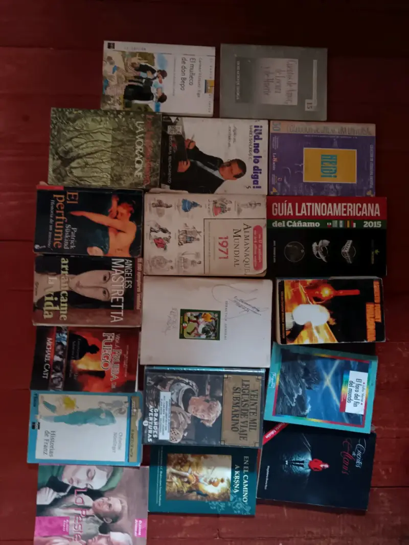 Lote de libros variados en buen estado