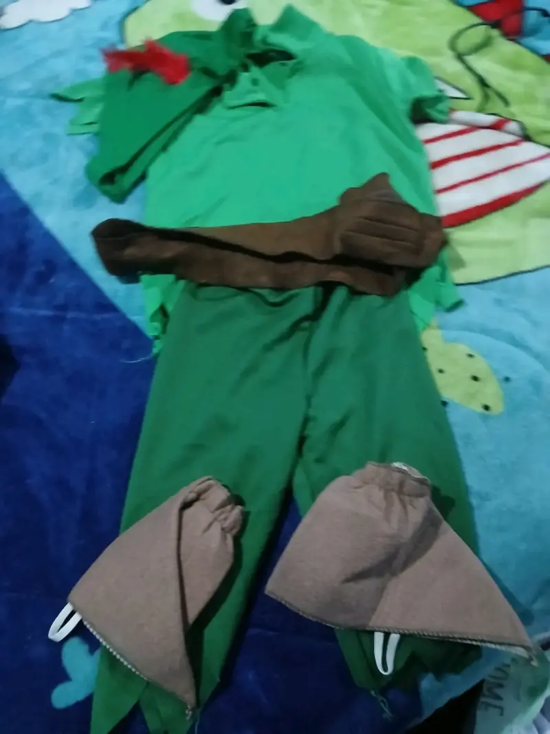 Disfraz de Peter Pan para niño verde con accesorios