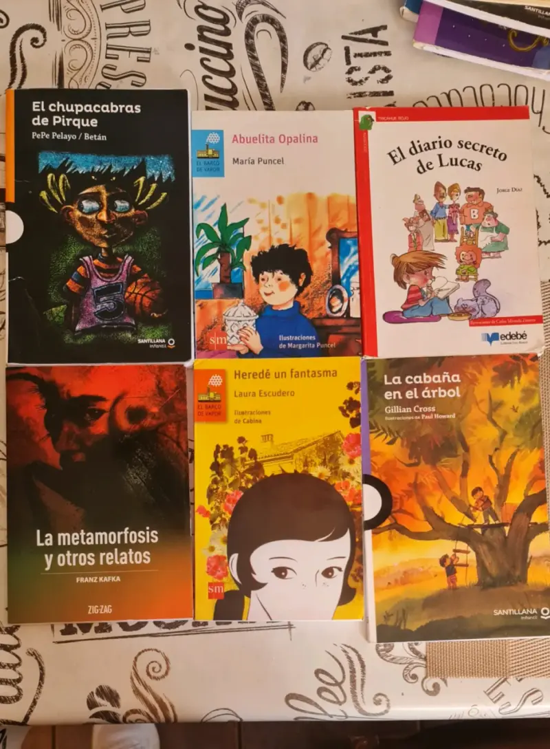 Lote de libros infantiles y juveniles variados - 1