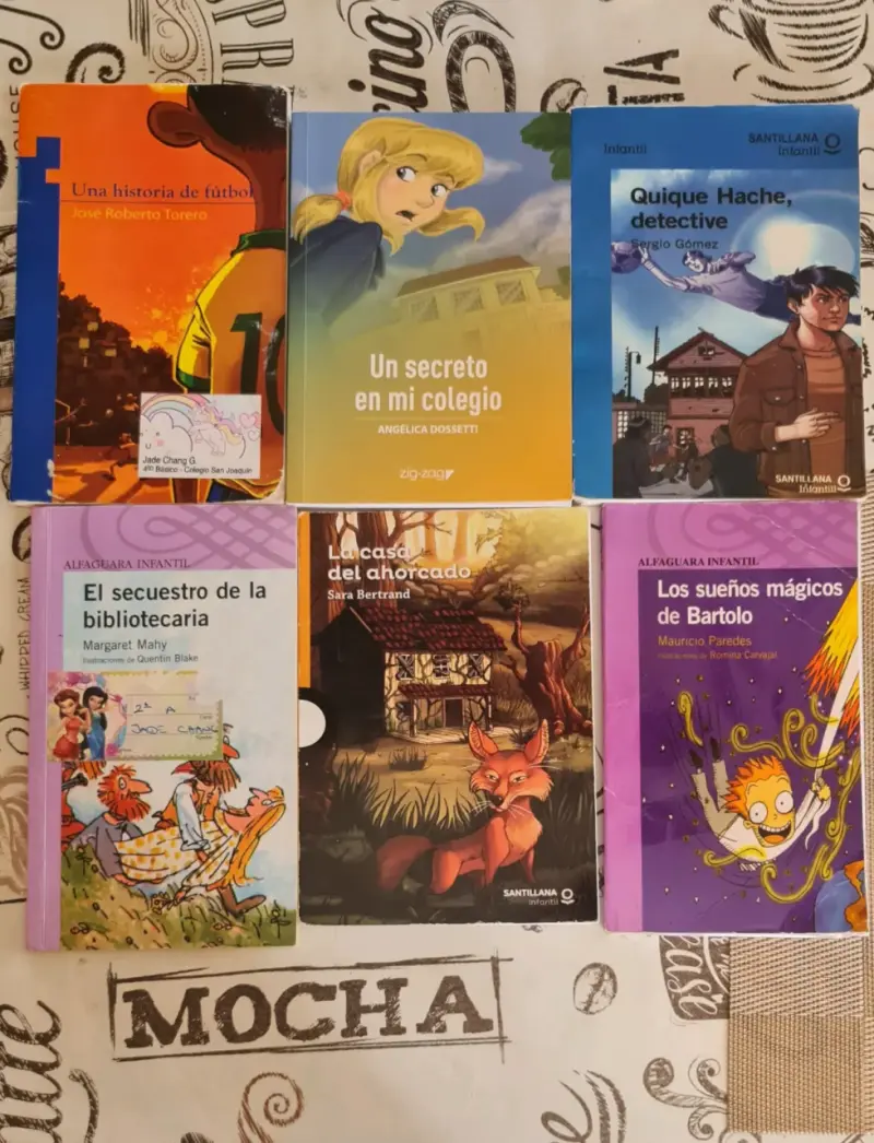 Lote de libros infantiles y juveniles variados - 2