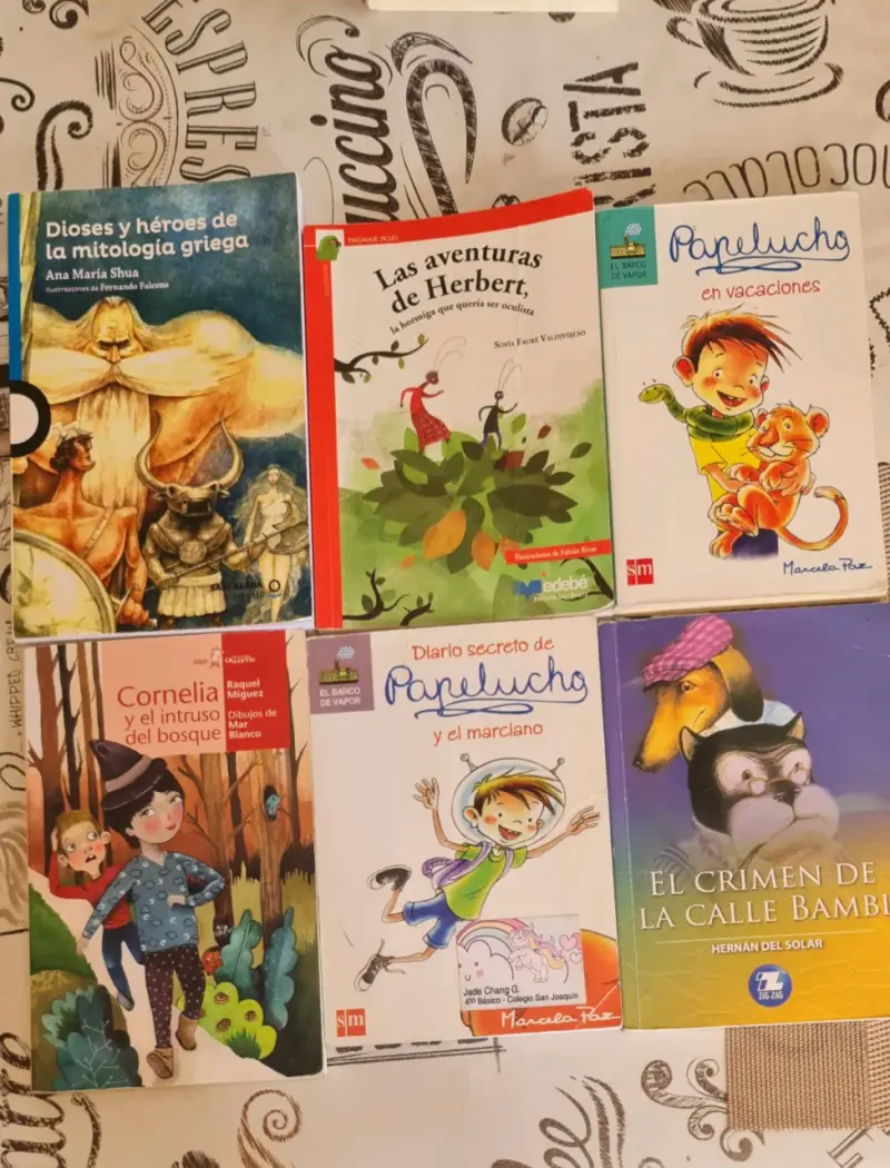 Lote de libros infantiles y juveniles variados - 5
