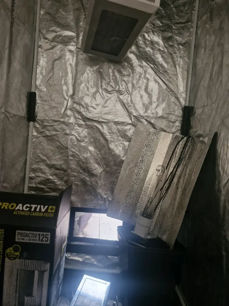Carpa de Cultivo Probox Basic con Filtros y Accesorios - 2