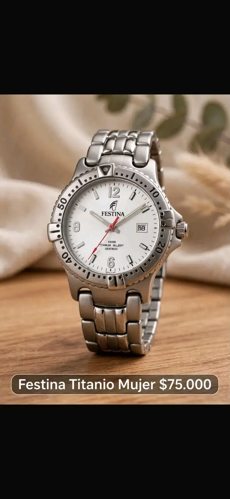 Reloj Festina de Titanio - 1