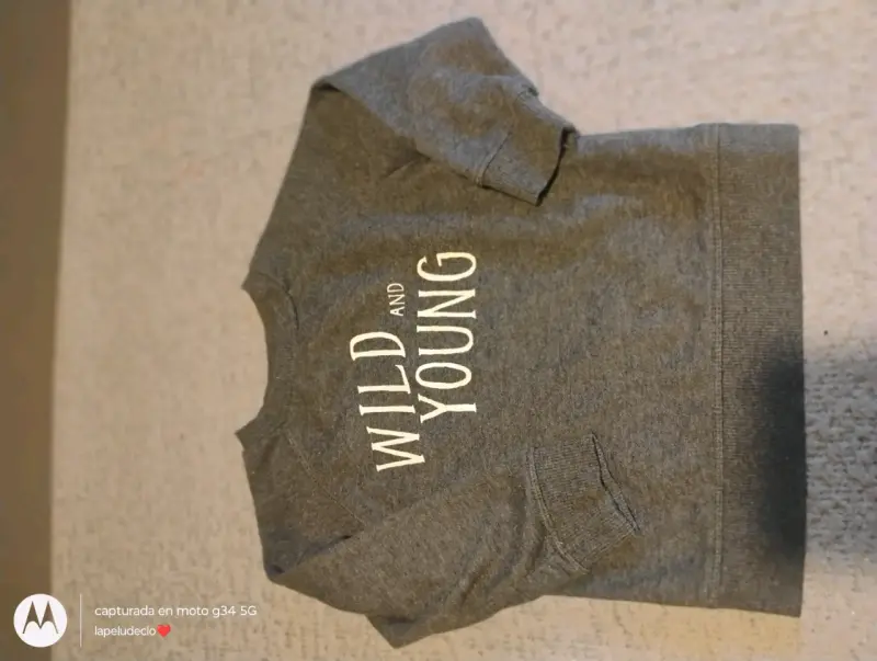 Polerón gris con estampado 'Wild and Young' - 1