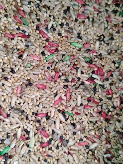 Mezcla de semillas para aves con vitaminas - miniatura 1