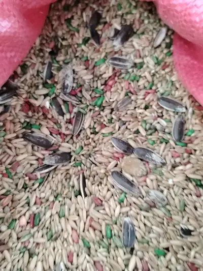 Mezcla de semillas para aves con vitaminas - miniatura 2