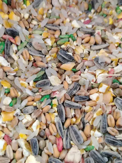 Mezcla de semillas para aves con vitaminas - miniatura 3