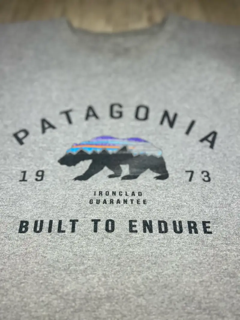 Polerón gris Patagonia con diseño de oso - 2