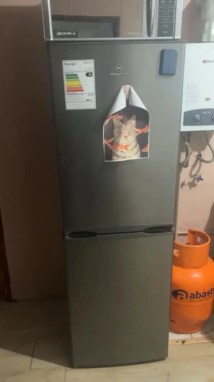 Refrigerador Mademsa de Dos Puertas en Buen Estado - 3