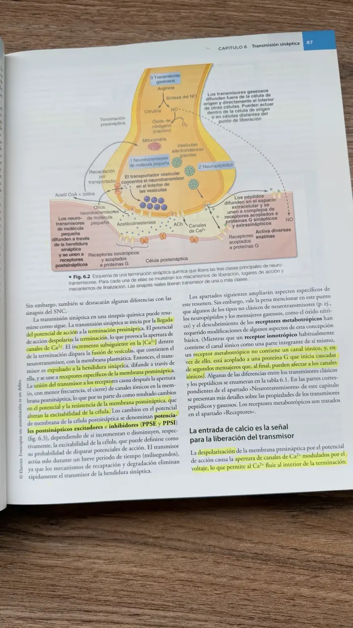 Libro Berne y Levy Fisiología Séptima Edición - 3