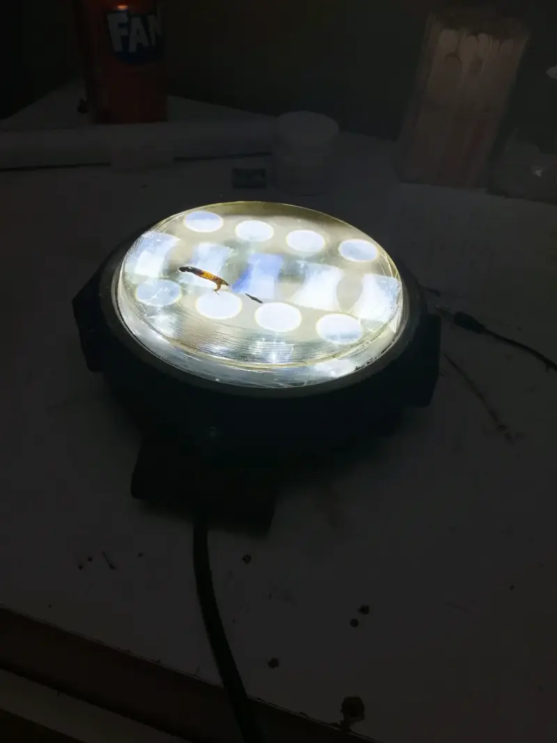 Foco LED redondo 12 volt para vehiculos o casa - 3