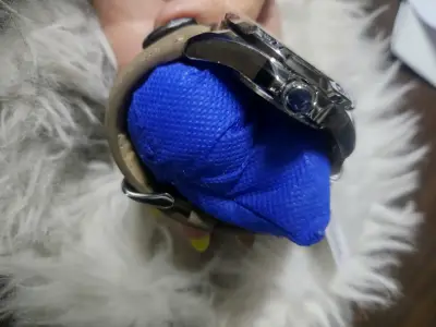 Reloj Naviforce para Hombre Resistente al Agua - miniatura 4