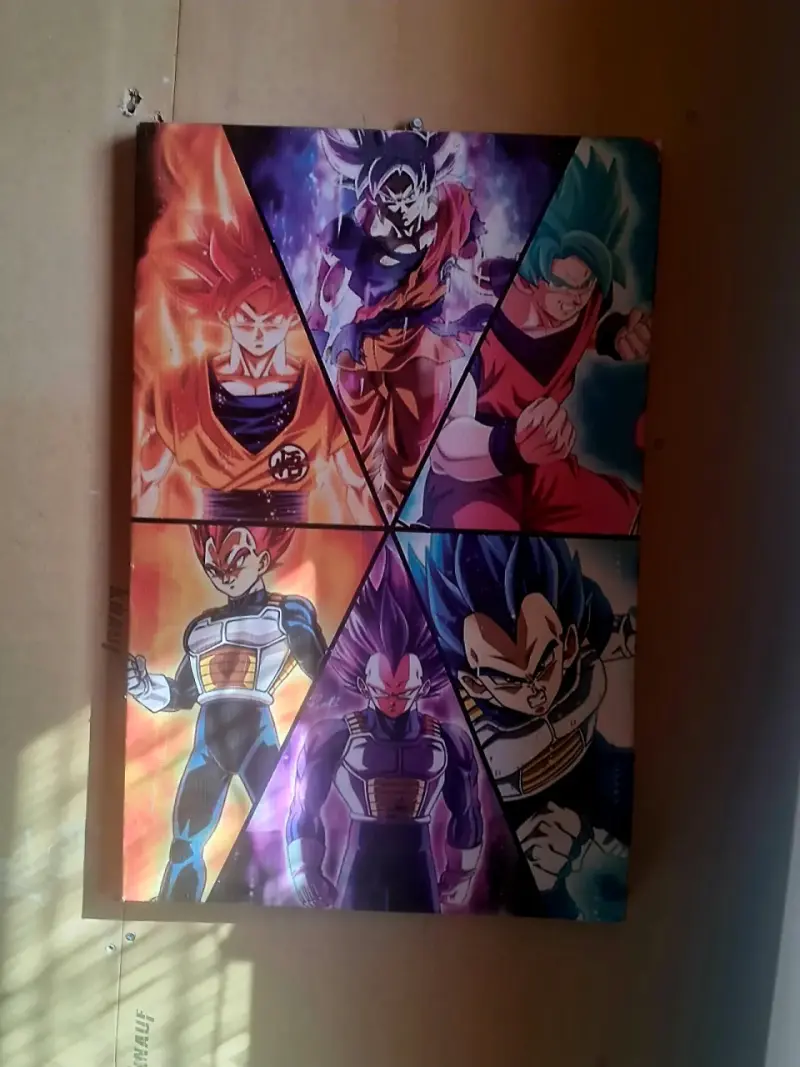Cuadro Decorativo Dragon Ball Super Goku y Vegeta