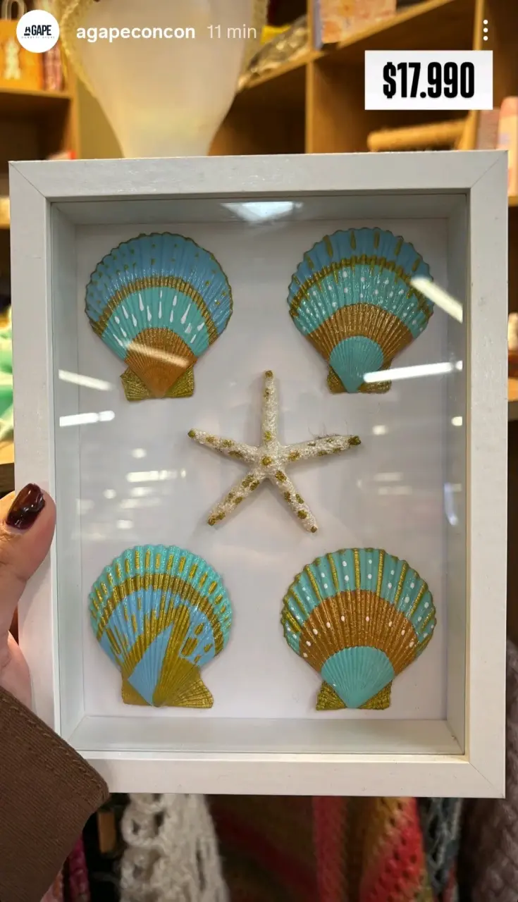 🌊Cuadro decorativo  conchas marinas